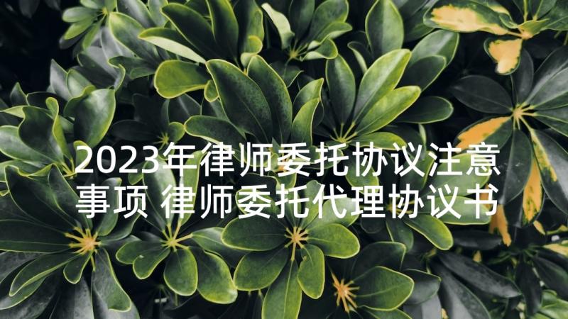 2023年律师委托协议注意事项 律师委托代理协议书(汇总10篇)