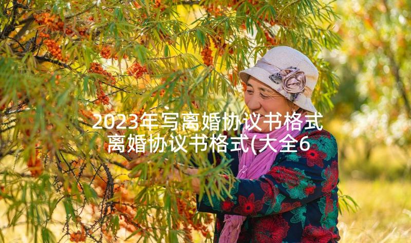 2023年写离婚协议书格式 离婚协议书格式(大全6篇)