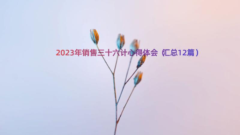 2023年销售三十六计心得体会（汇总12篇）