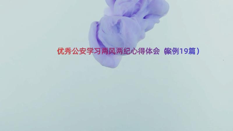 优秀公安学习两风两纪心得体会（案例19篇）