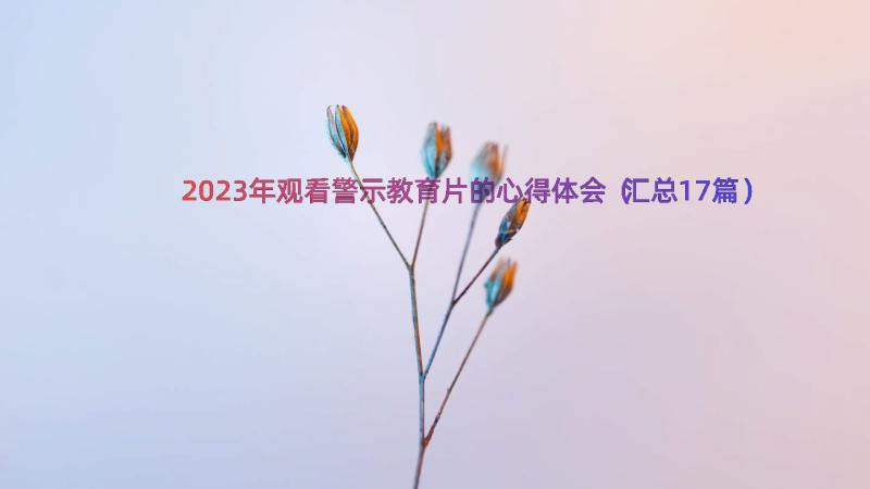 2023年观看警示教育片的心得体会（汇总17篇）