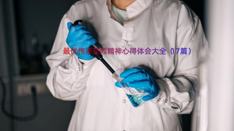 最优传承英烈精神心得体会大全（17篇）