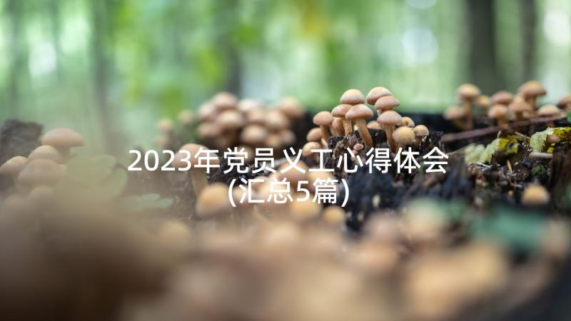2023年党员义工心得体会(汇总5篇)