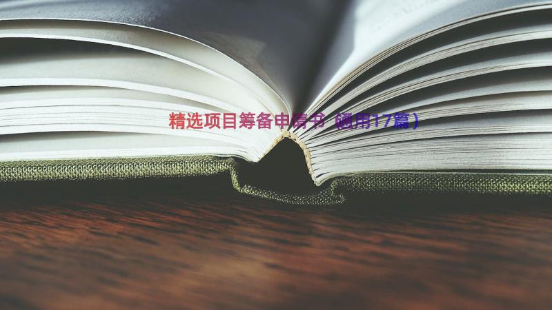 精选项目筹备申请书（通用17篇）