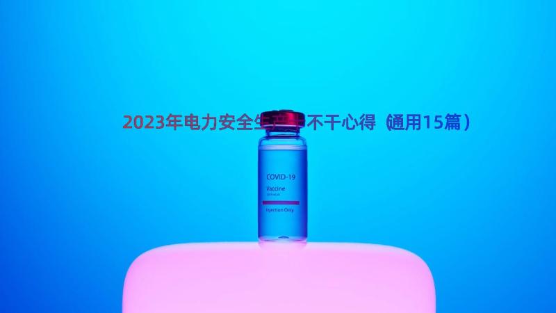 2023年电力安全生产十不干心得（通用15篇）