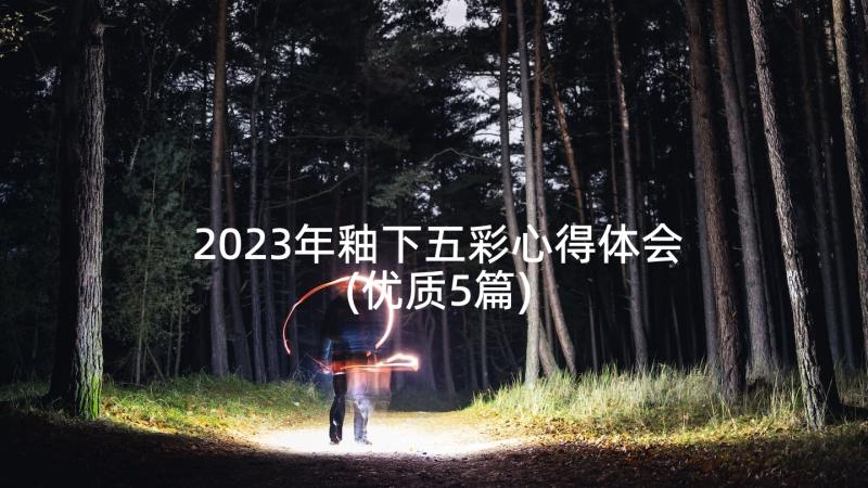 2023年釉下五彩心得体会(优质5篇)