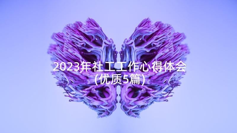 2023年社工工作心得体会(优质5篇)