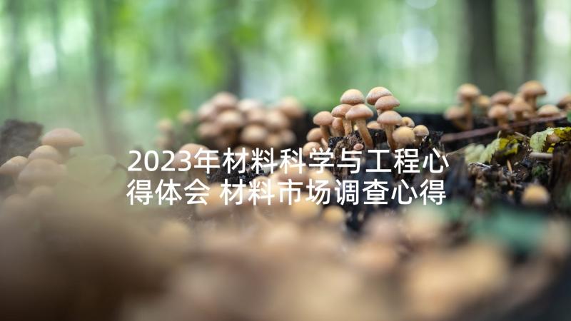 2023年材料科学与工程心得体会 材料市场调查心得体会(通用7篇)