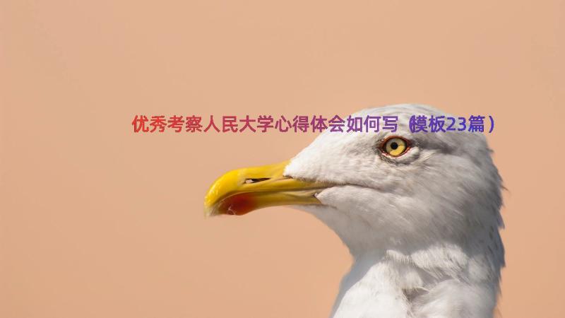 优秀考察人民大学心得体会如何写（模板23篇）