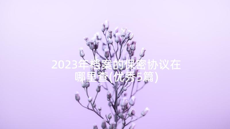 2023年档案的保密协议在哪里查(优秀5篇)