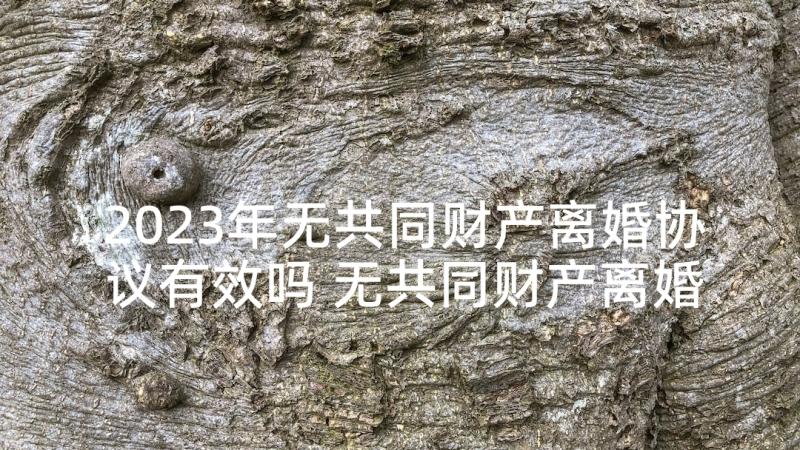 2023年无共同财产离婚协议有效吗 无共同财产离婚协议书(实用10篇)