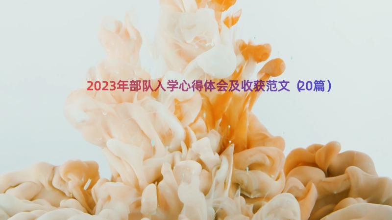 2023年部队入学心得体会及收获范文（20篇）