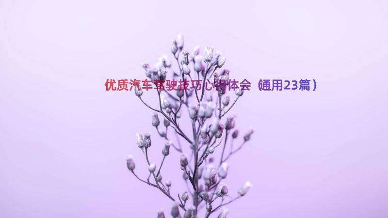 优质汽车驾驶技巧心得体会（通用23篇）