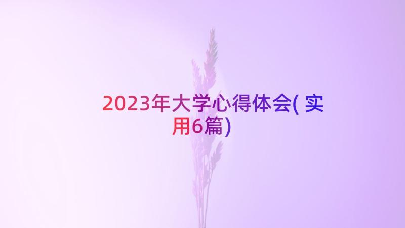2023年大学心得体会(实用6篇)