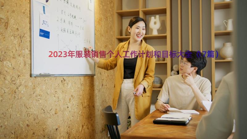 2023年服装销售个人工作计划和目标大全（17篇）