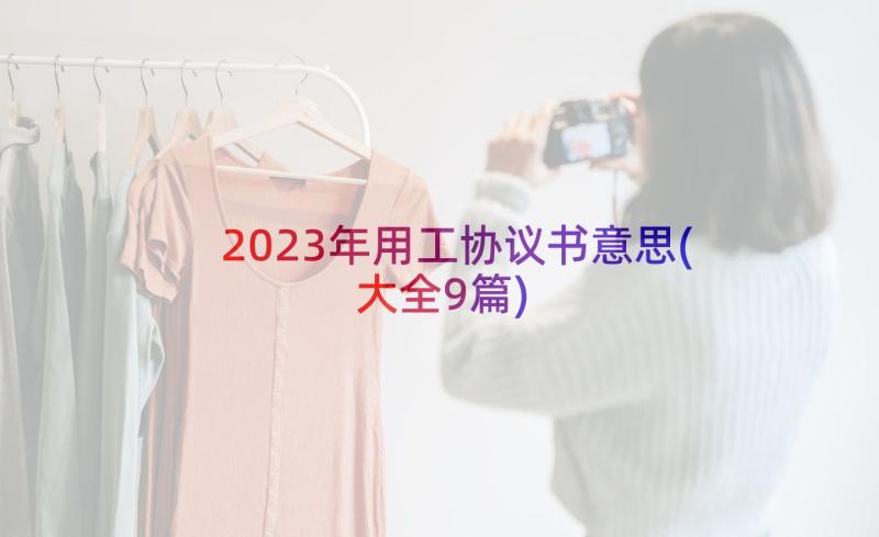 2023年用工协议书意思(大全9篇)