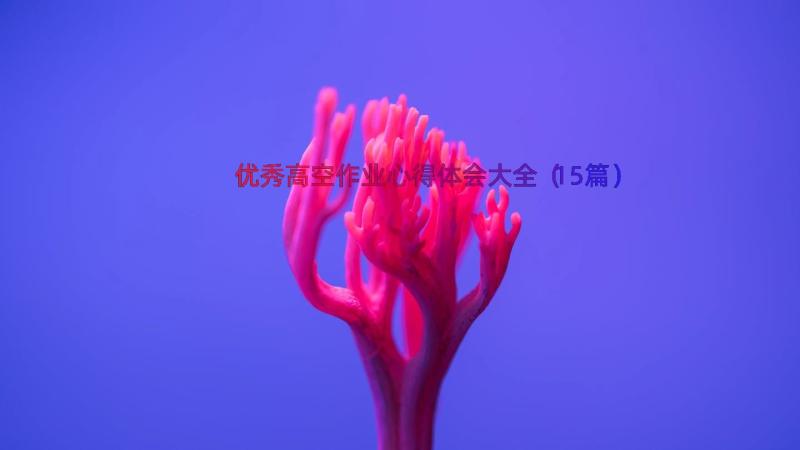 优秀高空作业心得体会大全（15篇）