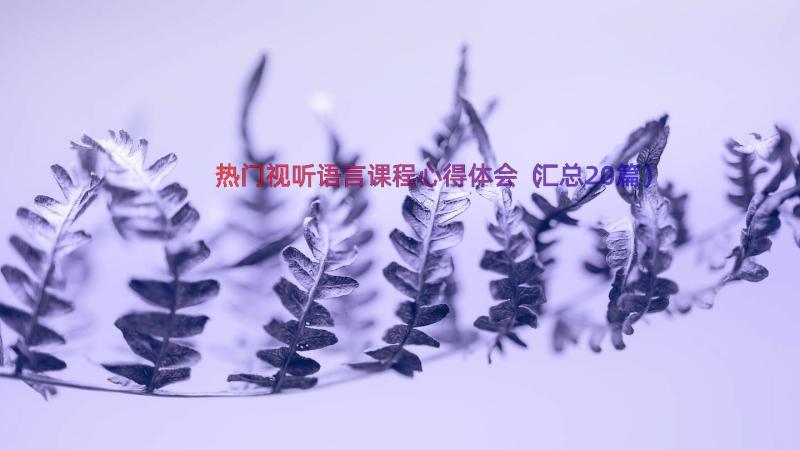 热门视听语言课程心得体会（汇总20篇）