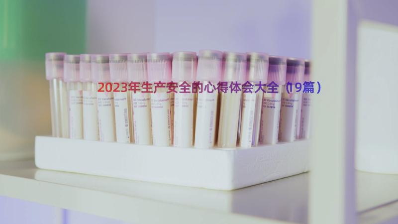 2023年生产安全的心得体会大全（19篇）