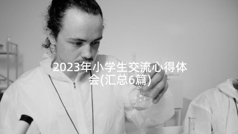 2023年小学生交流心得体会(汇总6篇)