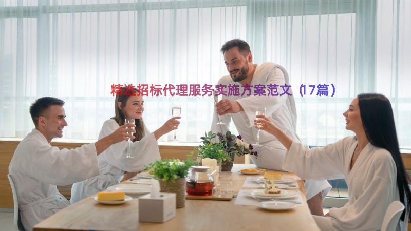 精选招标代理服务实施方案范文（17篇）