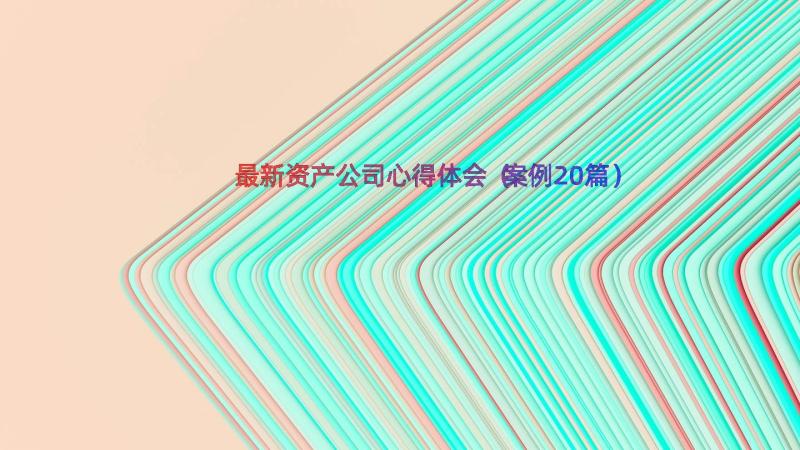 最新资产公司心得体会（案例20篇）