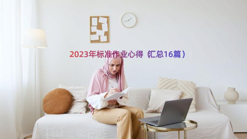 2023年标准作业心得（汇总16篇）