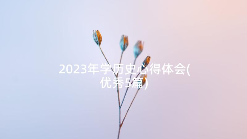 2023年学历史心得体会(优秀5篇)