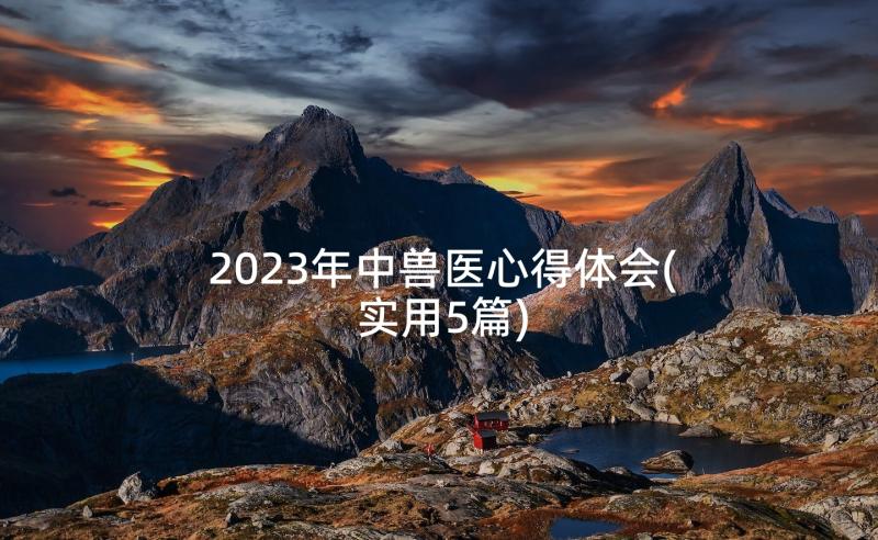 2023年中兽医心得体会(实用5篇)