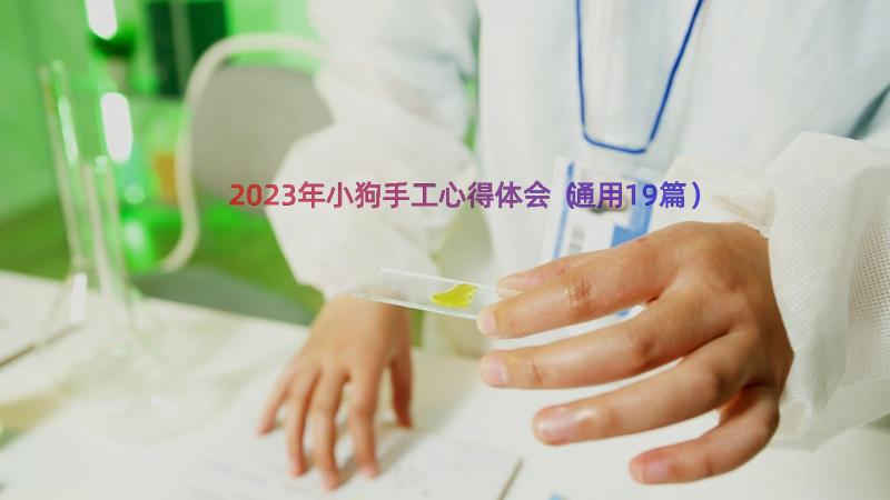 2023年小狗手工心得体会（通用19篇）