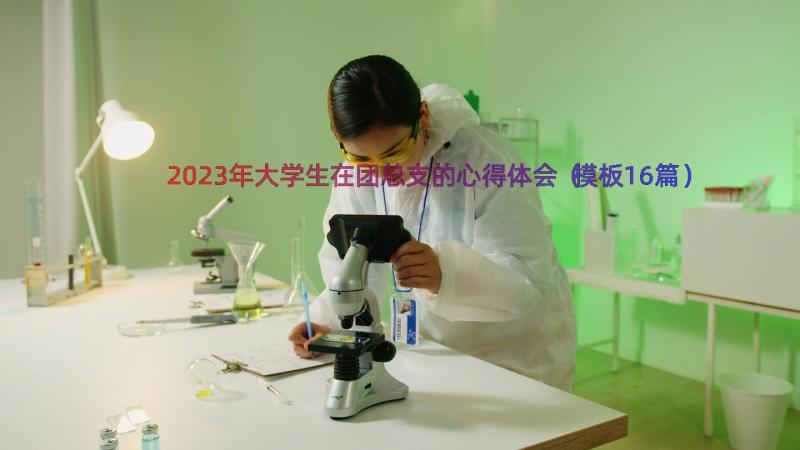 2023年大学生在团总支的心得体会（模板16篇）