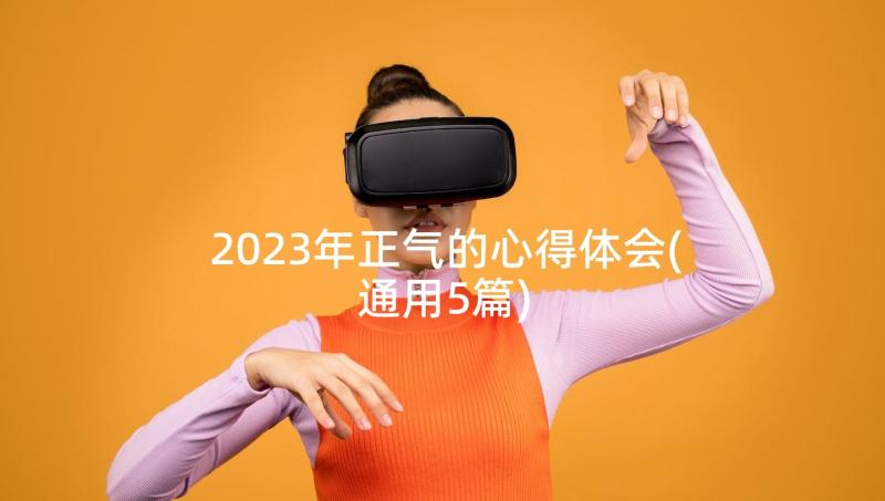 2023年正气的心得体会(通用5篇)