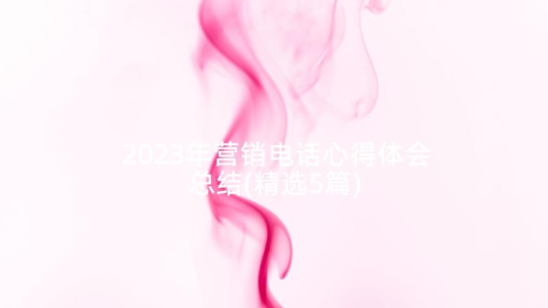 2023年营销电话心得体会总结(精选5篇)