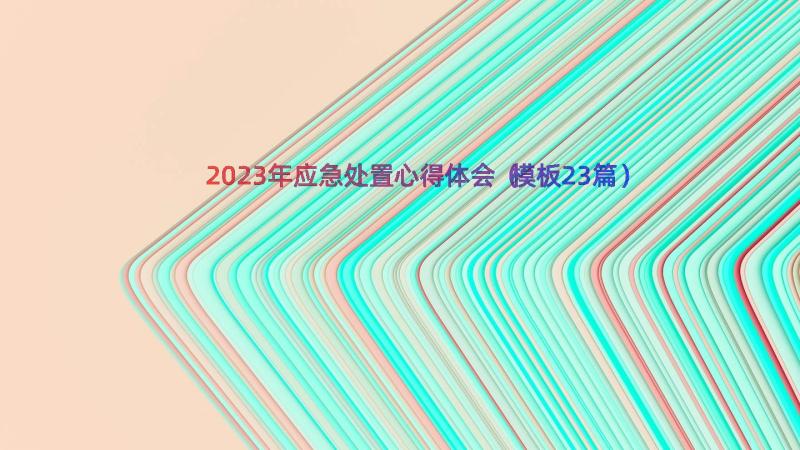 2023年应急处置心得体会（模板23篇）