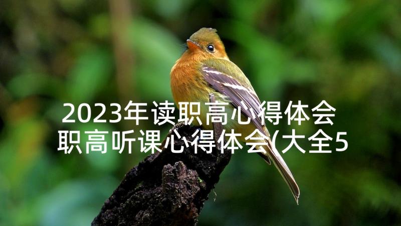 2023年读职高心得体会 职高听课心得体会(大全5篇)