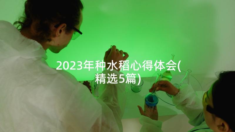 2023年种水稻心得体会(精选5篇)