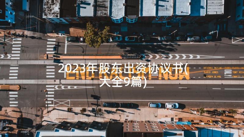 2023年股东出资协议书(大全9篇)