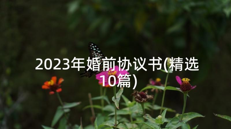 2023年婚前协议书(精选10篇)