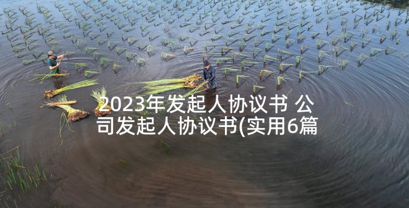 2023年发起人协议书 公司发起人协议书(实用6篇)