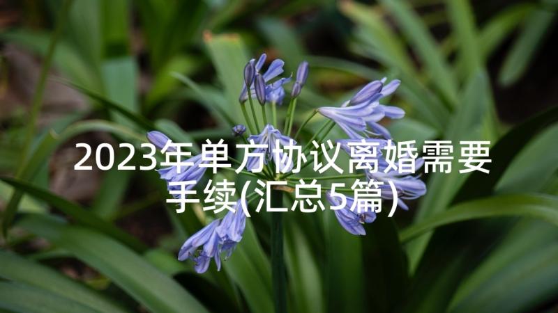 2023年单方协议离婚需要手续(汇总5篇)