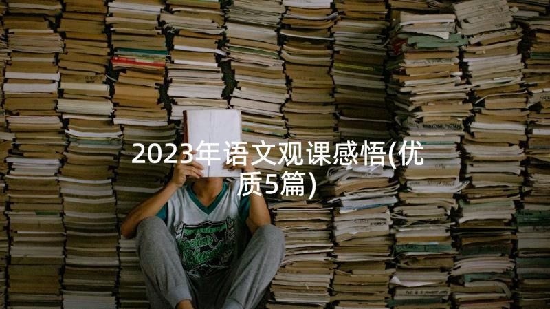 2023年语文观课感悟(优质5篇)