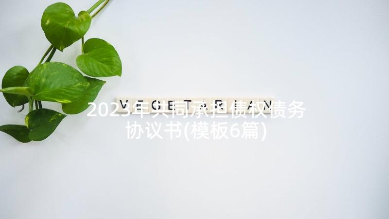 2023年共同承担债权债务协议书(模板6篇)