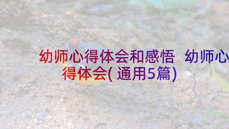 幼师心得体会和感悟 幼师心得体会(通用5篇)