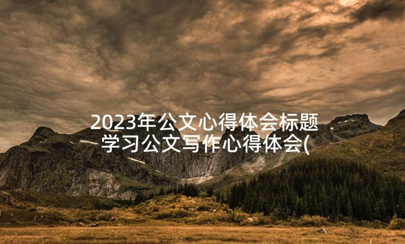 2023年公文心得体会标题 学习公文写作心得体会(通用9篇)