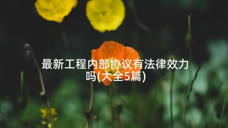 最新工程内部协议有法律效力吗(大全5篇)