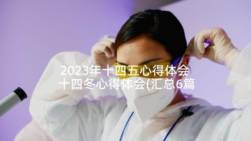 2023年十四五心得体会 十四冬心得体会(汇总6篇)