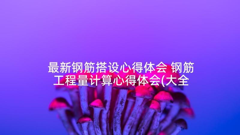 最新钢筋搭设心得体会 钢筋工程量计算心得体会(大全5篇)