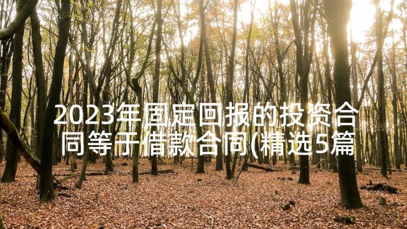 2023年固定回报的投资合同等于借款合同(精选5篇)