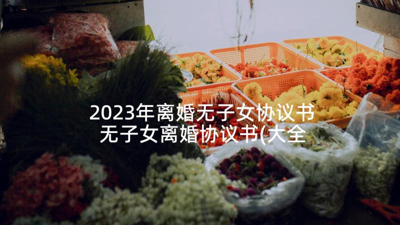 2023年离婚无子女协议书 无子女离婚协议书(大全5篇)