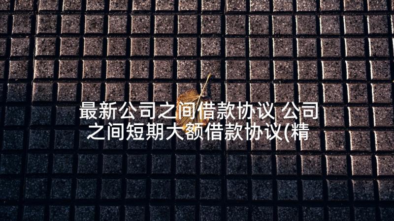 最新公司之间借款协议 公司之间短期大额借款协议(精选5篇)